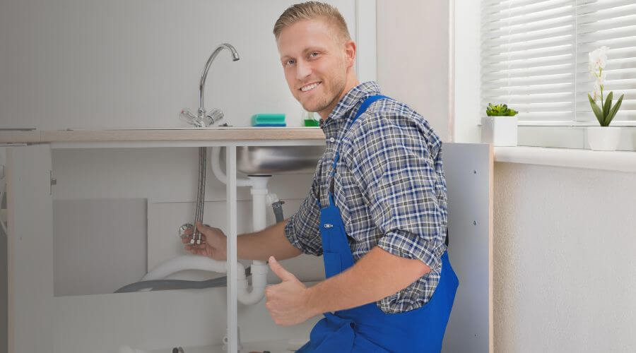 Holiday Plumbing Service in Forestville, MI